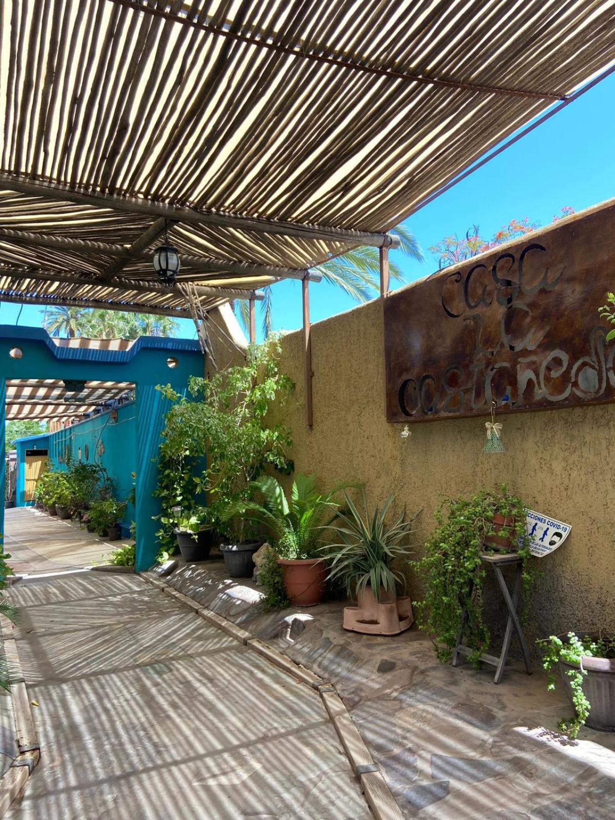 Hotel Casa La Castaneda à Loreto  Extérieur photo