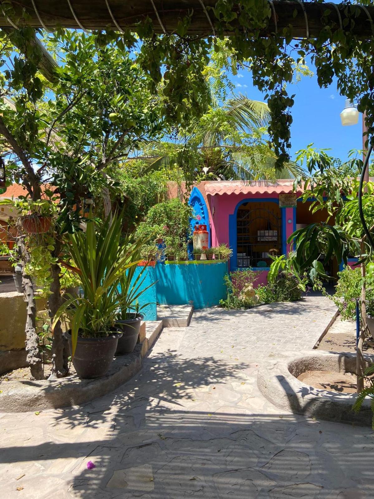 Hotel Casa La Castaneda à Loreto  Extérieur photo